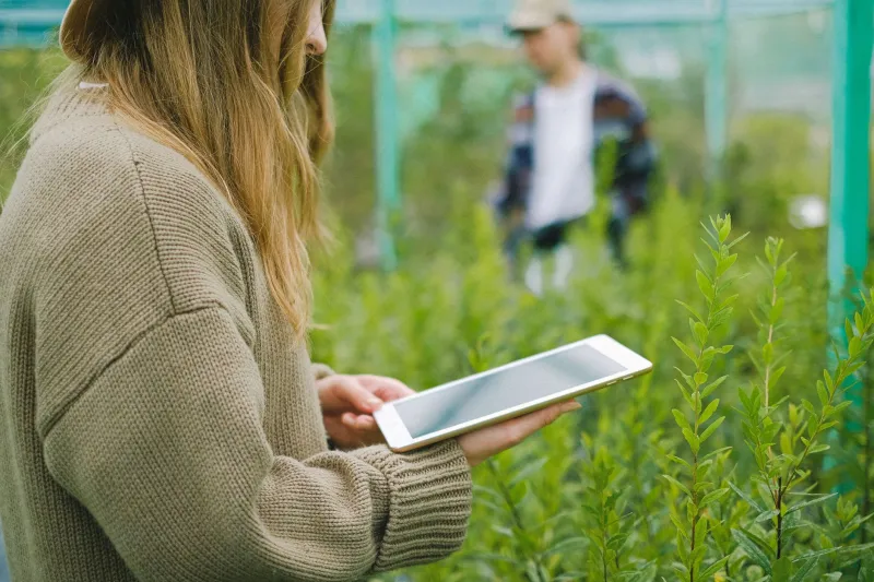 When the Algorithm Is Wrong, Who Pays the Harvest?