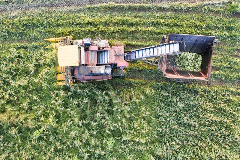 Steel Hands in the Field: How Autonomous Harvesting Machines Are Reshaping American Agriculture