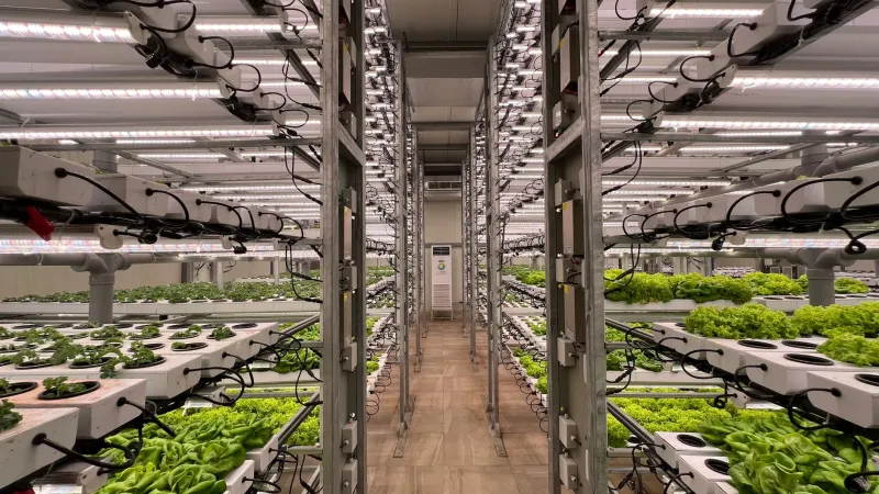 Controlled Skies, Real Yields: The Engineering Case for Indoor Agriculture at Scale