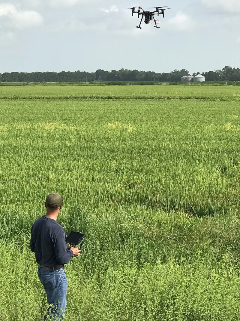 When Bees Are Not Enough: Engineering Robotic Pollinators for American Crops