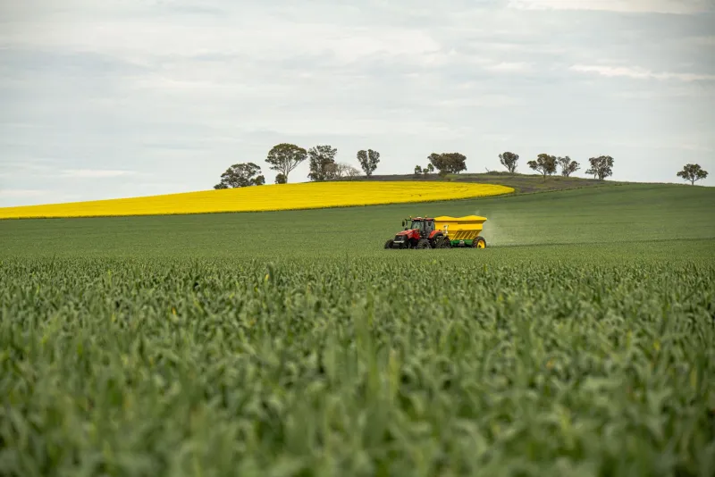 Feeding the World, Poisoning the Planet: The Unfinished Engineering Problem of Synthetic Nitrogen