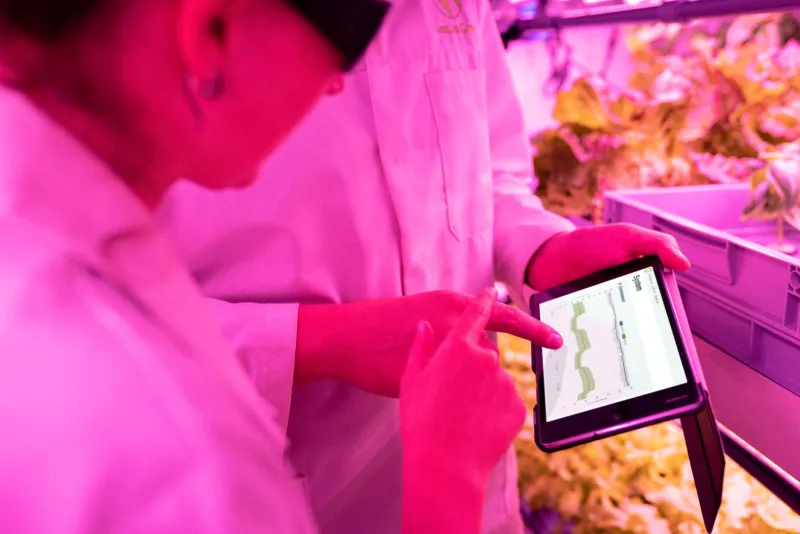 Watts and Yields: Confronting the Electricity Crisis at the Heart of Vertical Farming
